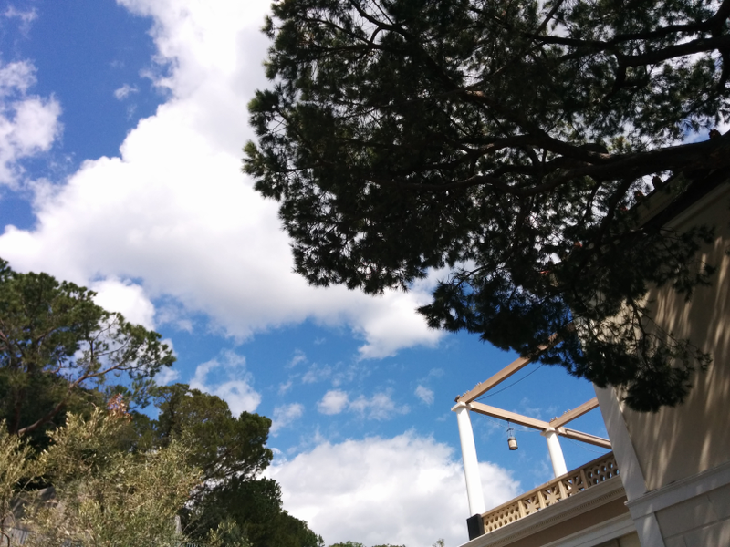 Illustration for article titled Pictures from the Getty Villa